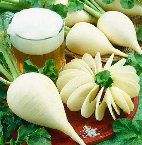 Radish "German Beer" Õlurõigas valge